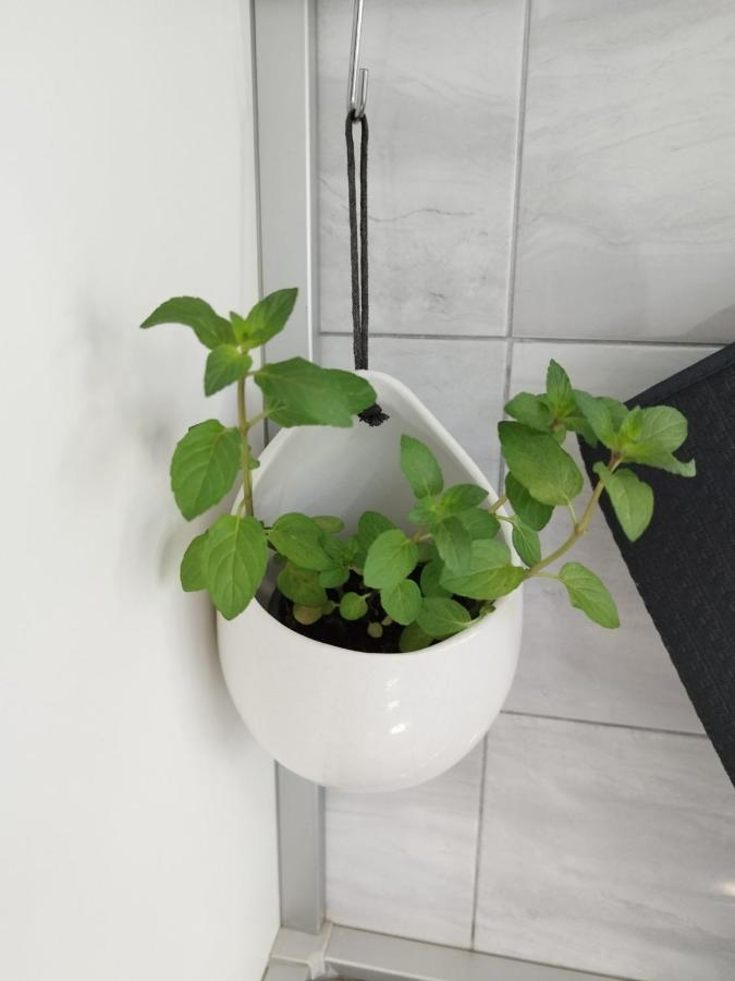 Antemma Apartment 普拉 外观 照片